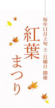 毎年11月上旬 土・日曜日 開催／紅葉まつり