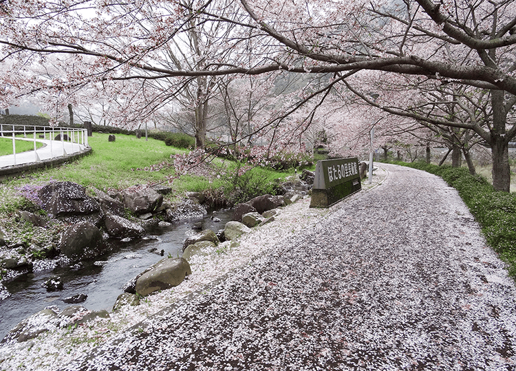 さくらまつり 風景