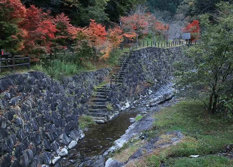 紅葉まつり 風景